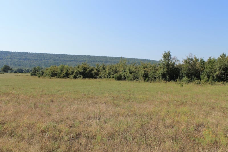 Daisy Meadows Tract 27 photo 5