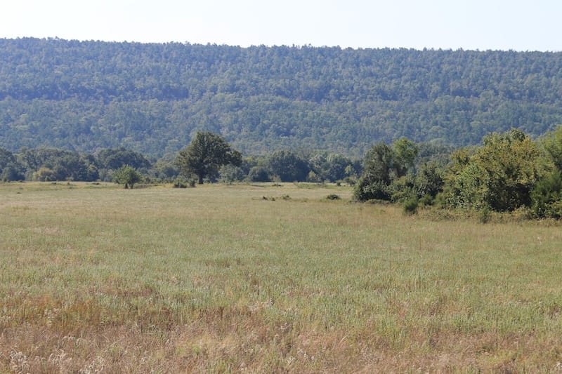 Daisy Meadows Tract 27 photo 6