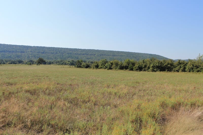 Daisy Meadows Tract 27 photo 8