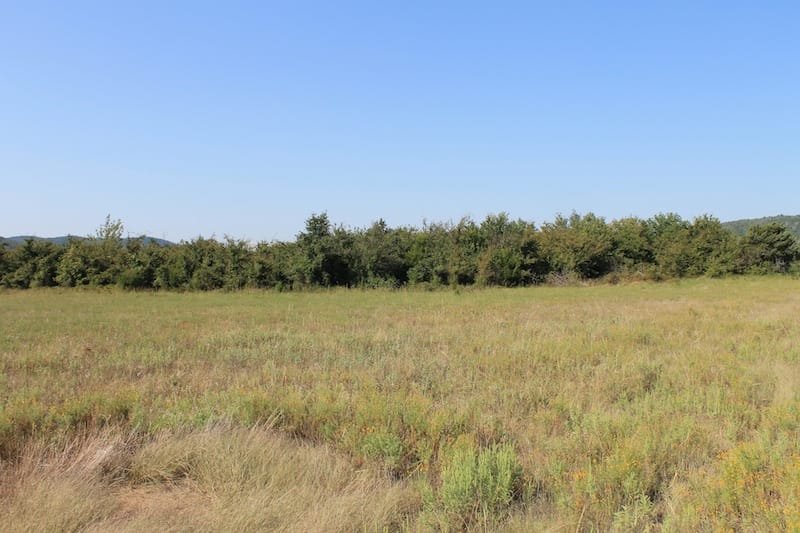 Daisy Meadows Tract 27 photo 9