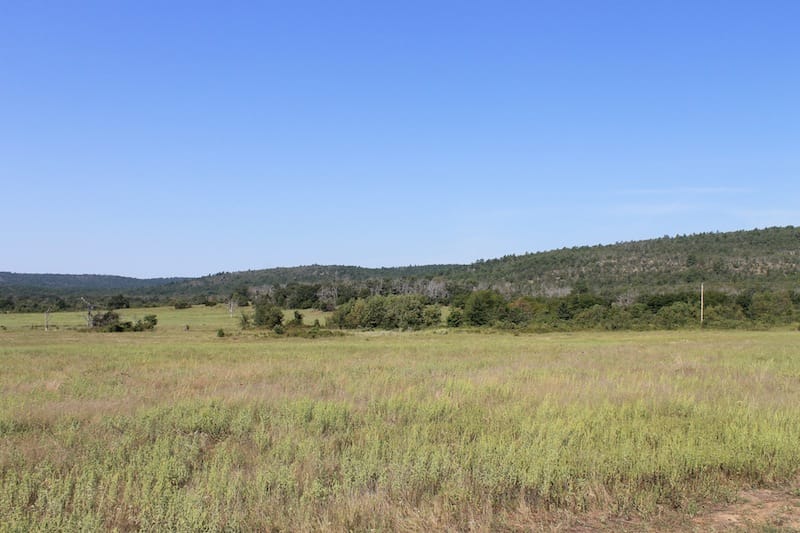 Daisy Meadows Tract 27 photo 11