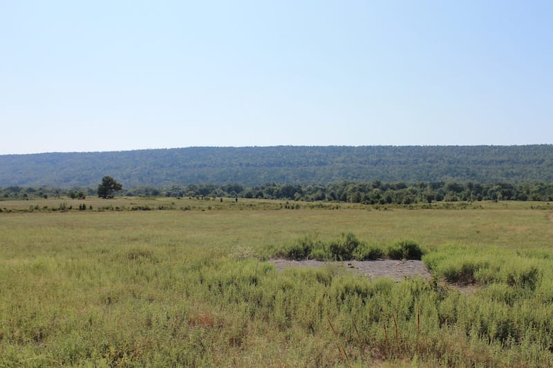 Daisy Meadows Tract 27 photo 16