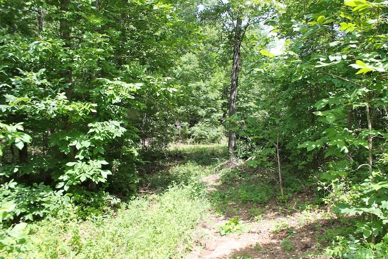 Green Mountain Ranch Tract 27 photo 1