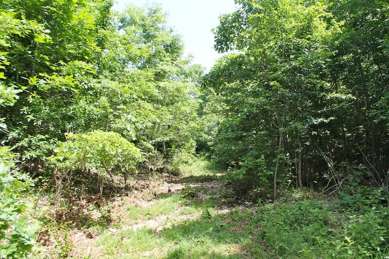 Green Mountain Ranch Tract 27 photo 3