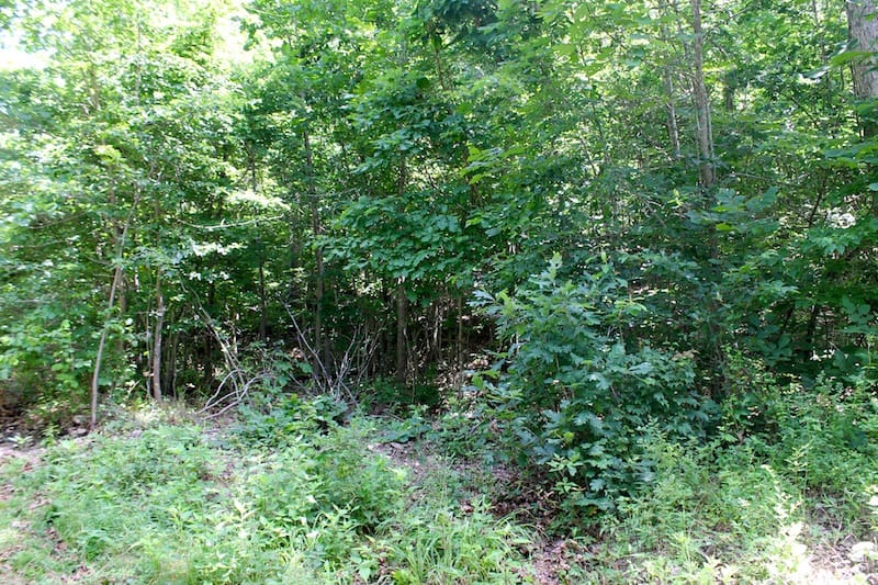Green Mountain Ranch Tract 27 photo 4