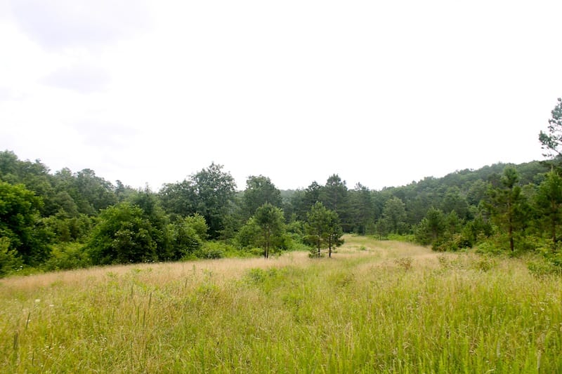 Green Mountain Ranch Tract 27 photo 8