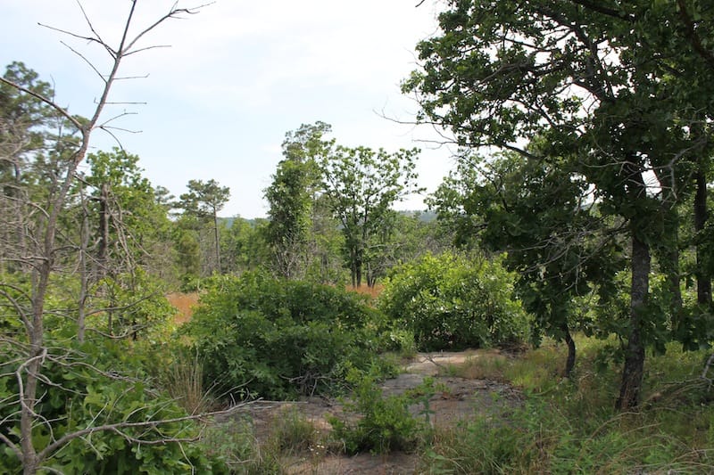 Indian Ridge – Phase II Tract 51 photo 6