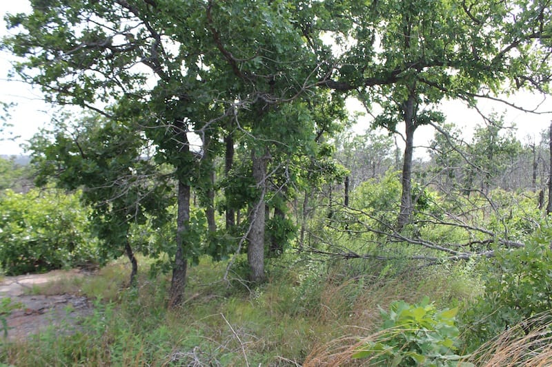 Indian Ridge – Phase II Tract 51 photo 7