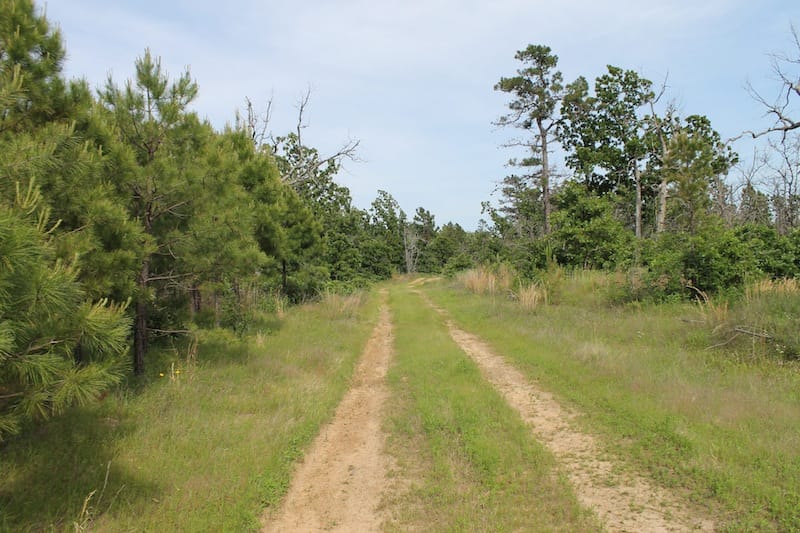Indian Ridge – Phase II Tract 51 photo 8