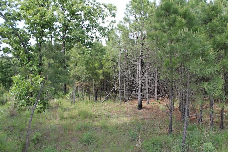 Indian Ridge – Phase II Tract 51 photo 9