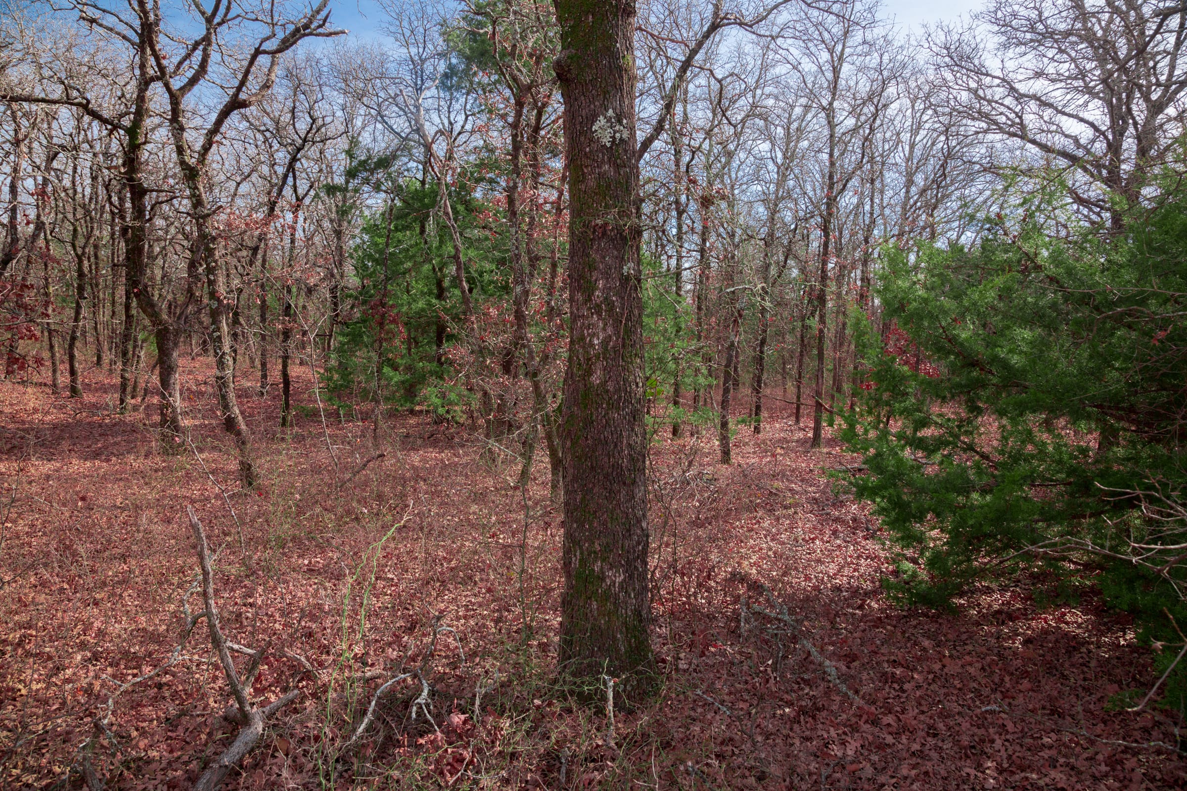 Legacy Ranch Tract 16 photo 4