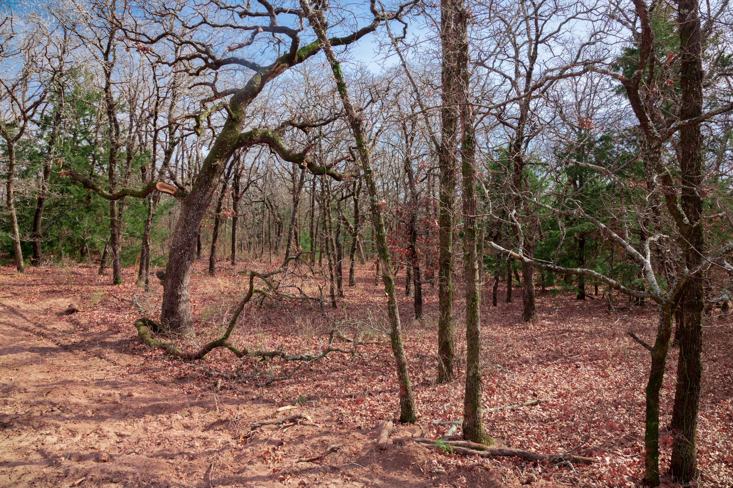 Legacy Ranch Tract 16 photo 7