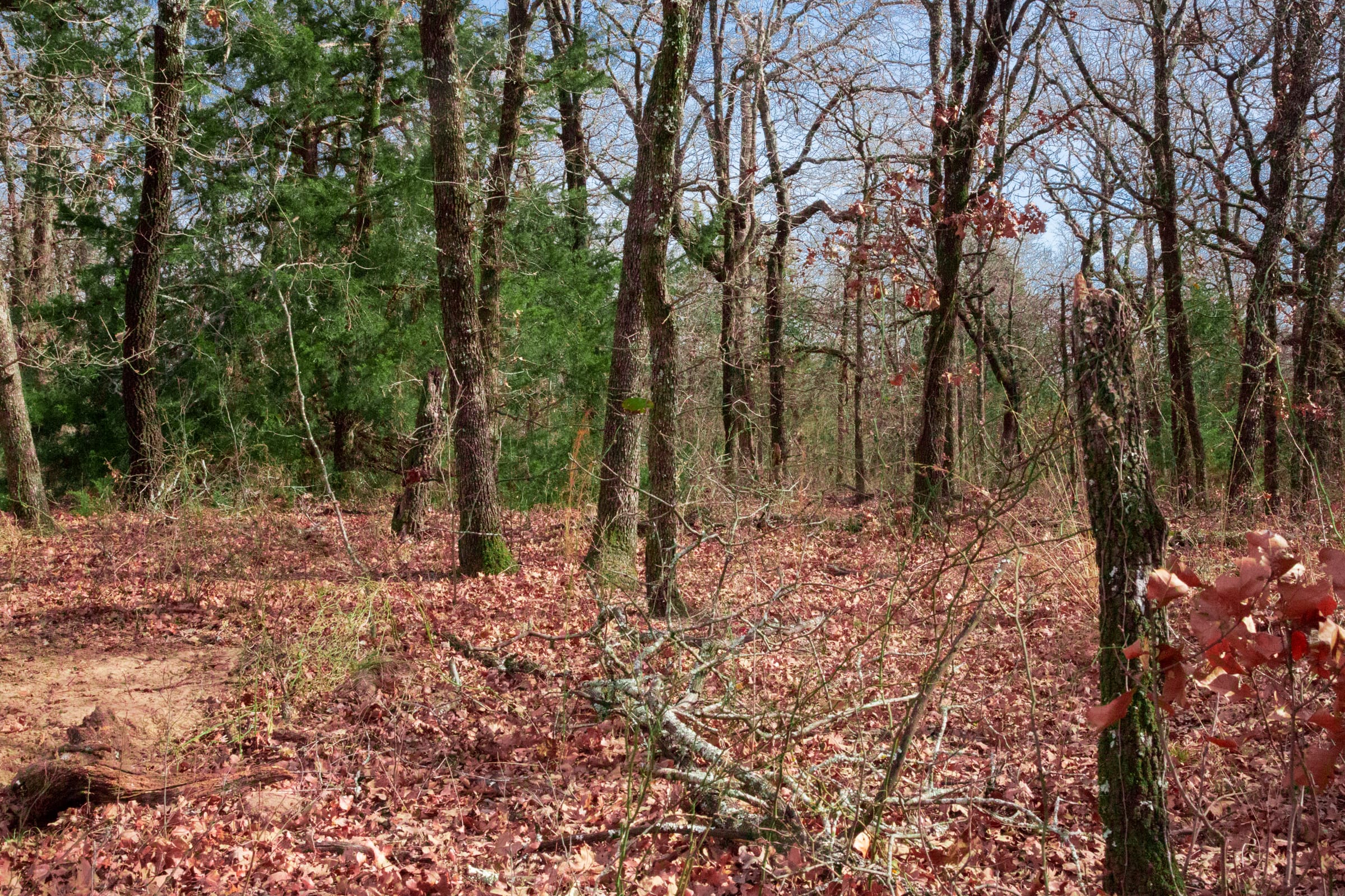 Legacy Ranch Tract 16 photo 8