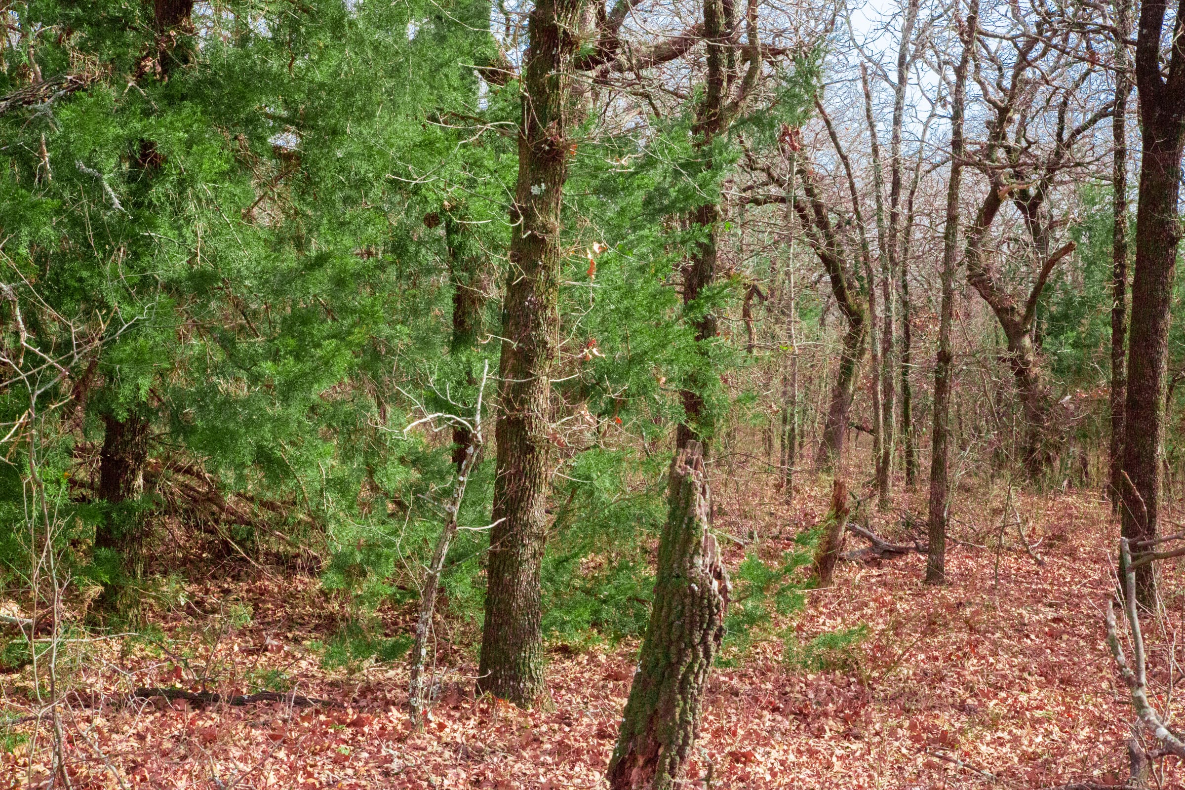 Legacy Ranch Tract 16 photo 9