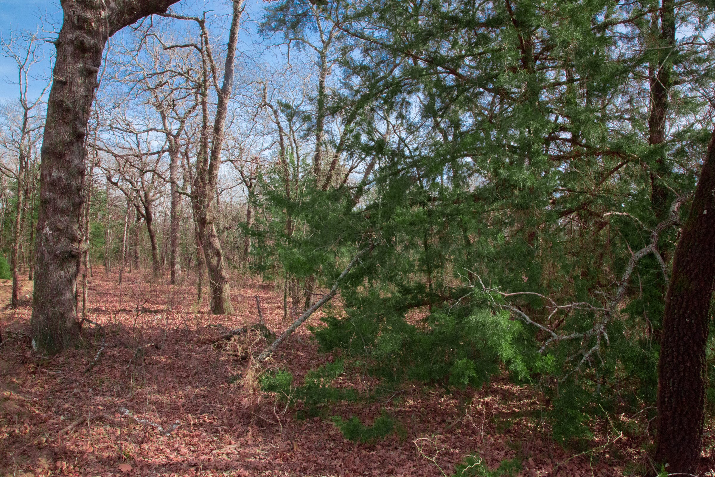 Legacy Ranch Tract 16 photo 10