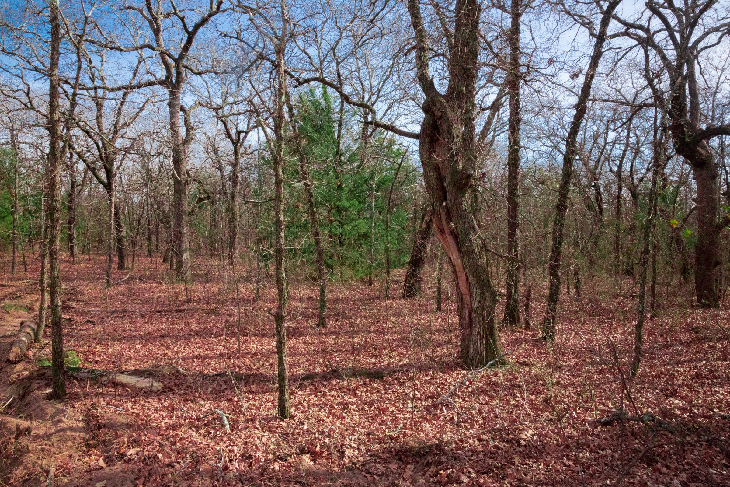 Legacy Ranch Tract 16 photo 11