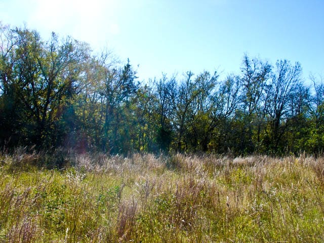 Saddlebrook Ranch Tract 31 photo 2