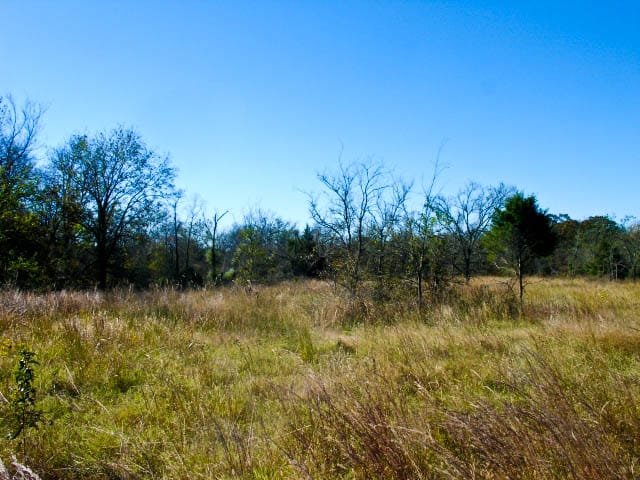 Saddlebrook Ranch Tract 31 photo 5