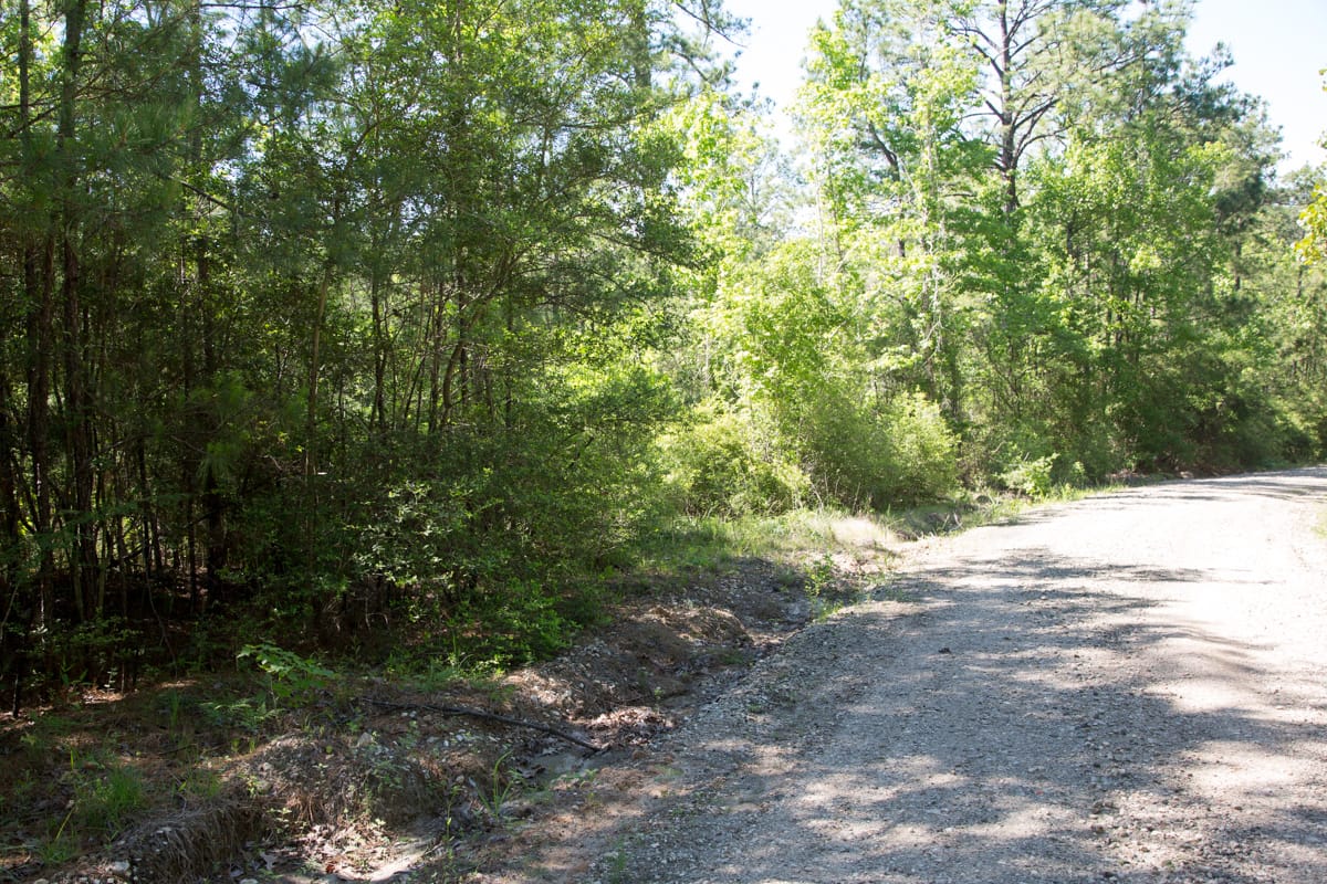 Rayburn Country Tract 301 photo 2