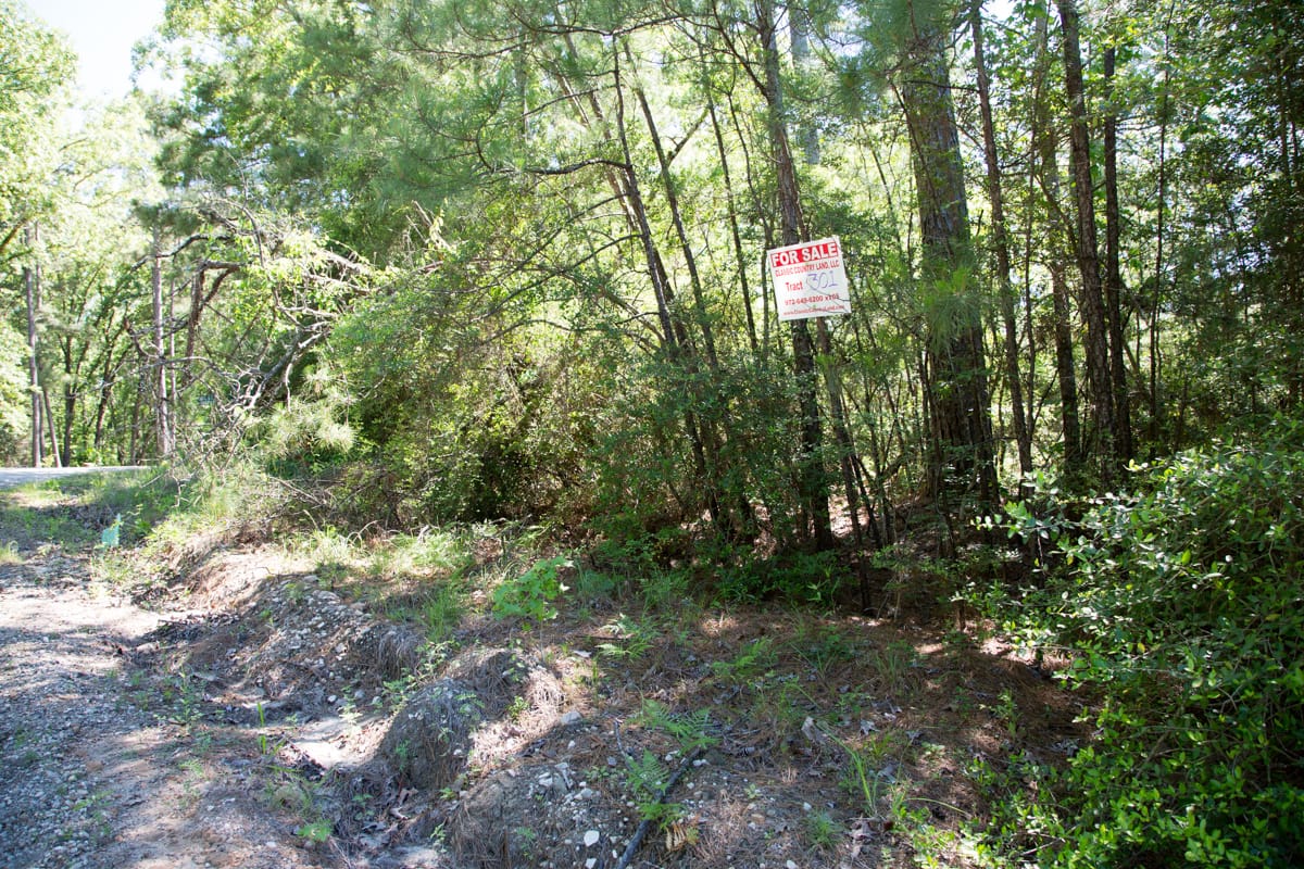Rayburn Country Tract 301 photo 4