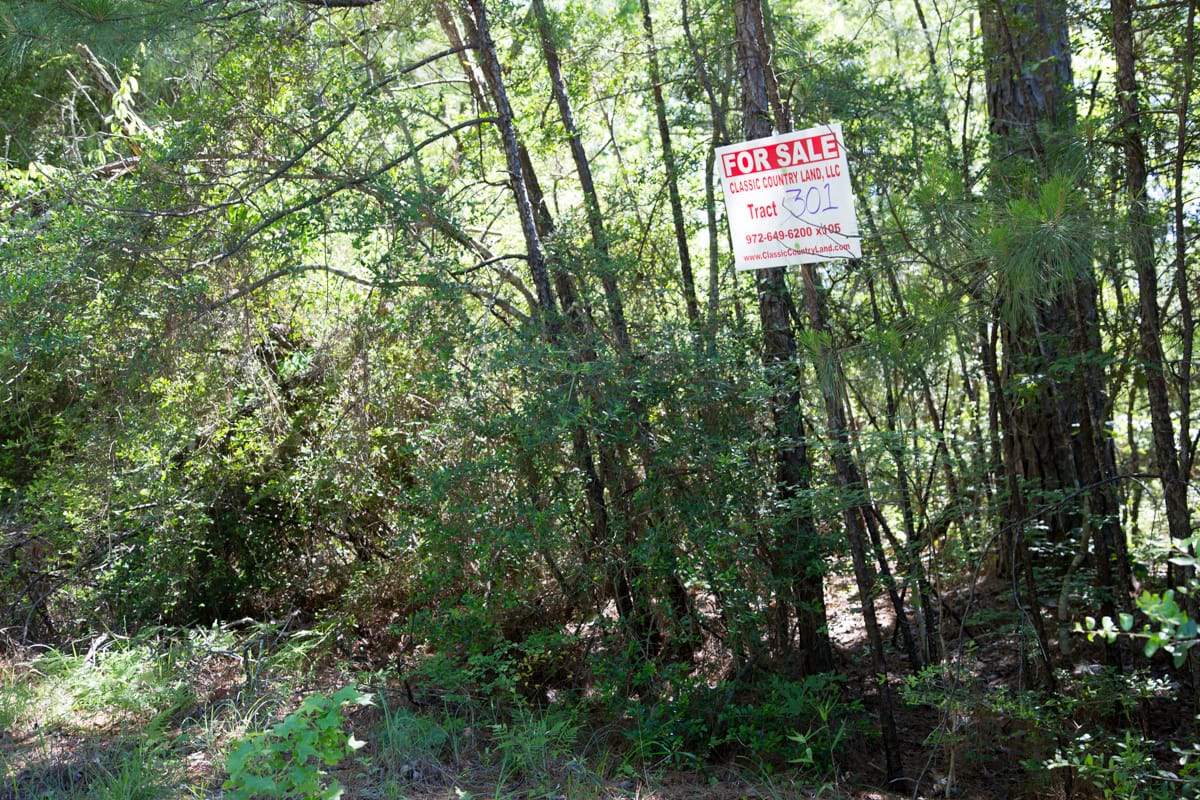Rayburn Country Tract 301 photo 5