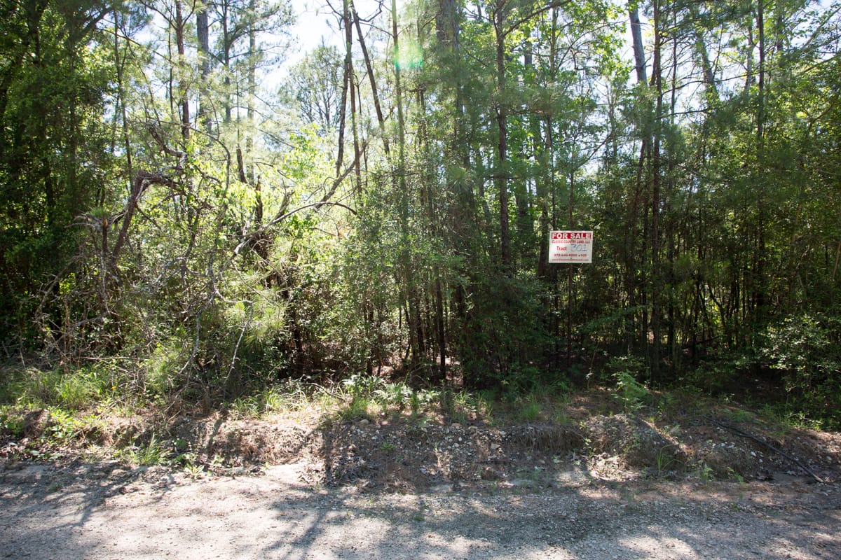Rayburn Country Tract 301 photo 6