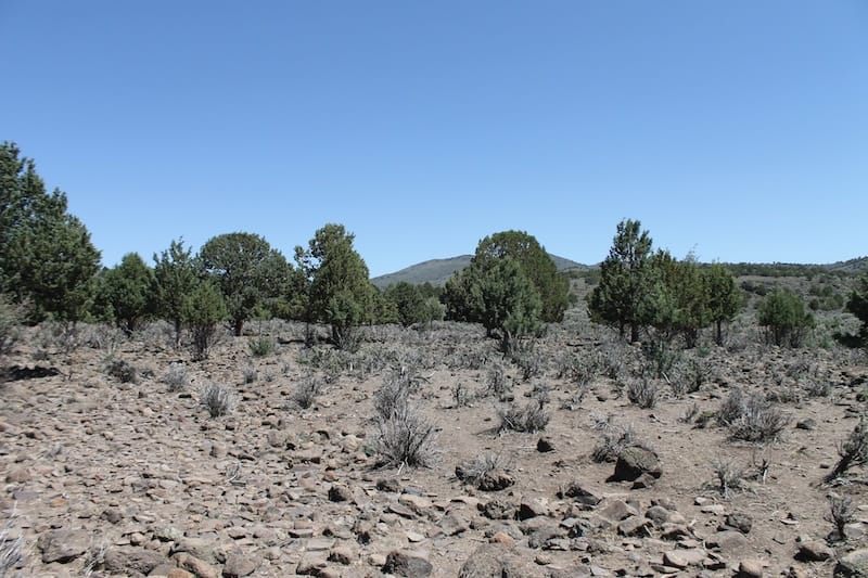 Ravendale Ranch Tract 4 photo 1
