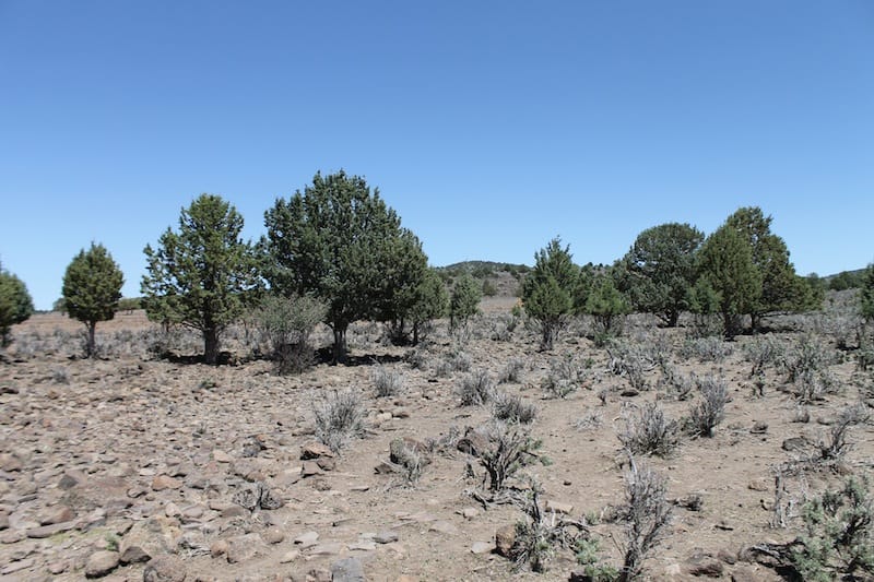 Ravendale Ranch Tract 4 photo 2