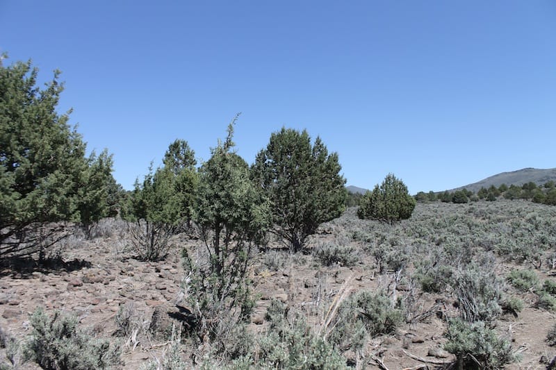 Ravendale Ranch Tract 4 photo 3