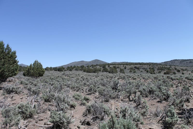 Ravendale Ranch Tract 4 photo 4