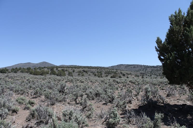 Ravendale Ranch Tract 4 photo 5