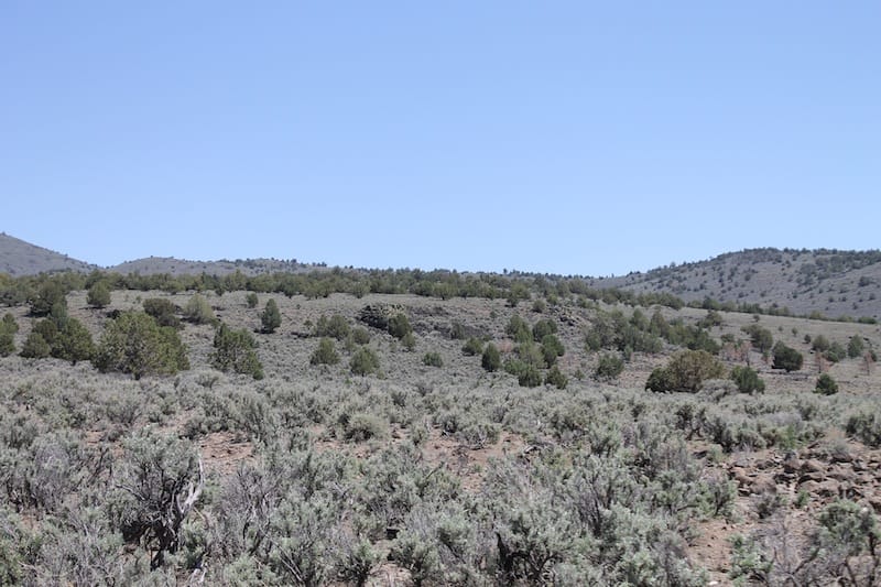 Ravendale Ranch Tract 4 photo 6