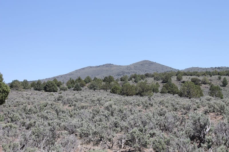 Ravendale Ranch Tract 4 photo 7