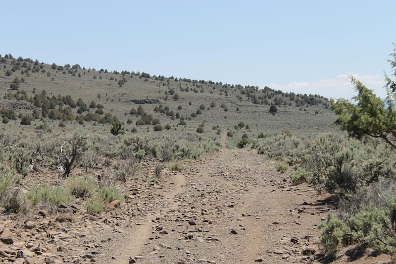 Ravendale Ranch Tract 4 photo 9