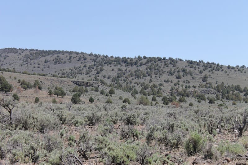Ravendale Ranch Tract 4 photo 10