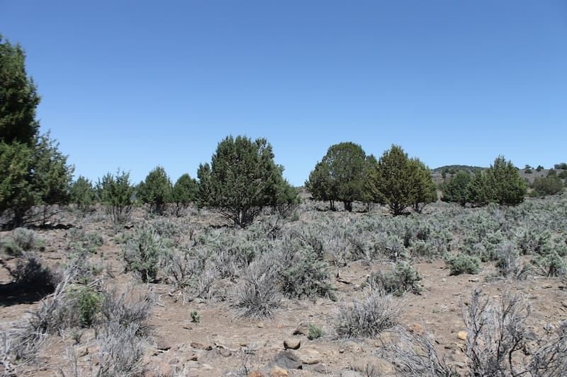 Ravendale Ranch Tract 4 photo 11