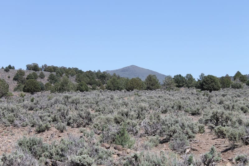 Ravendale Ranch Tract 4 photo 12
