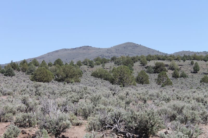 Ravendale Ranch Tract 4 photo 13