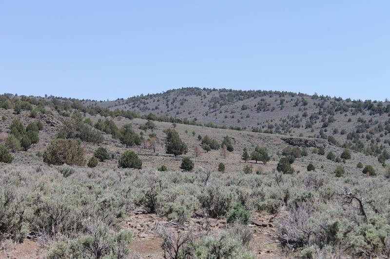 Ravendale Ranch Tract 4 photo 14