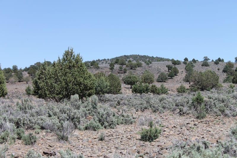 Ravendale Ranch Tract 4 photo 15
