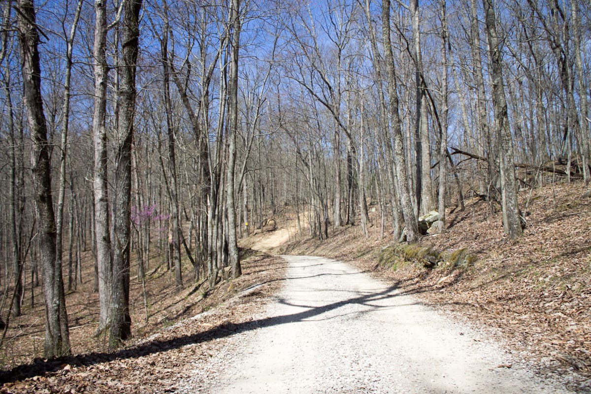 Chestnut Oak Ridge Tract 28 photo 2