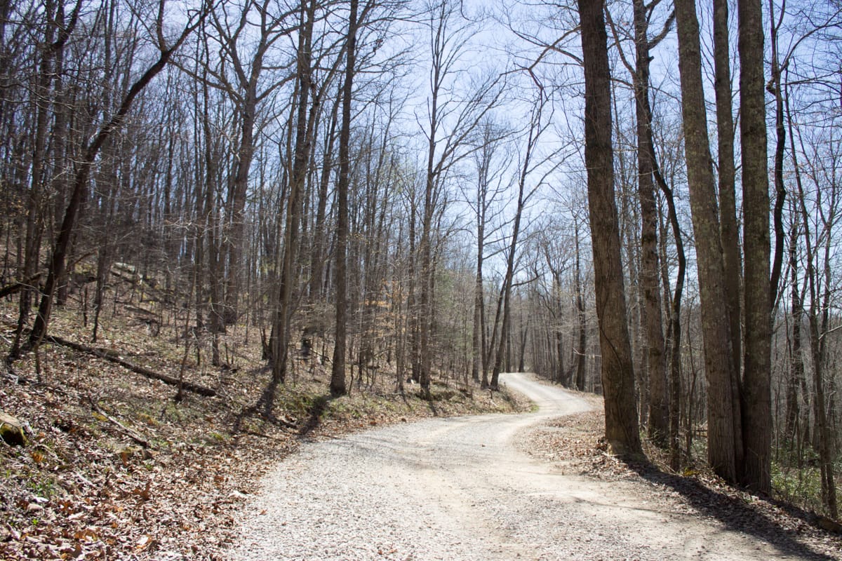 Chestnut Oak Ridge Tract 28 photo 3