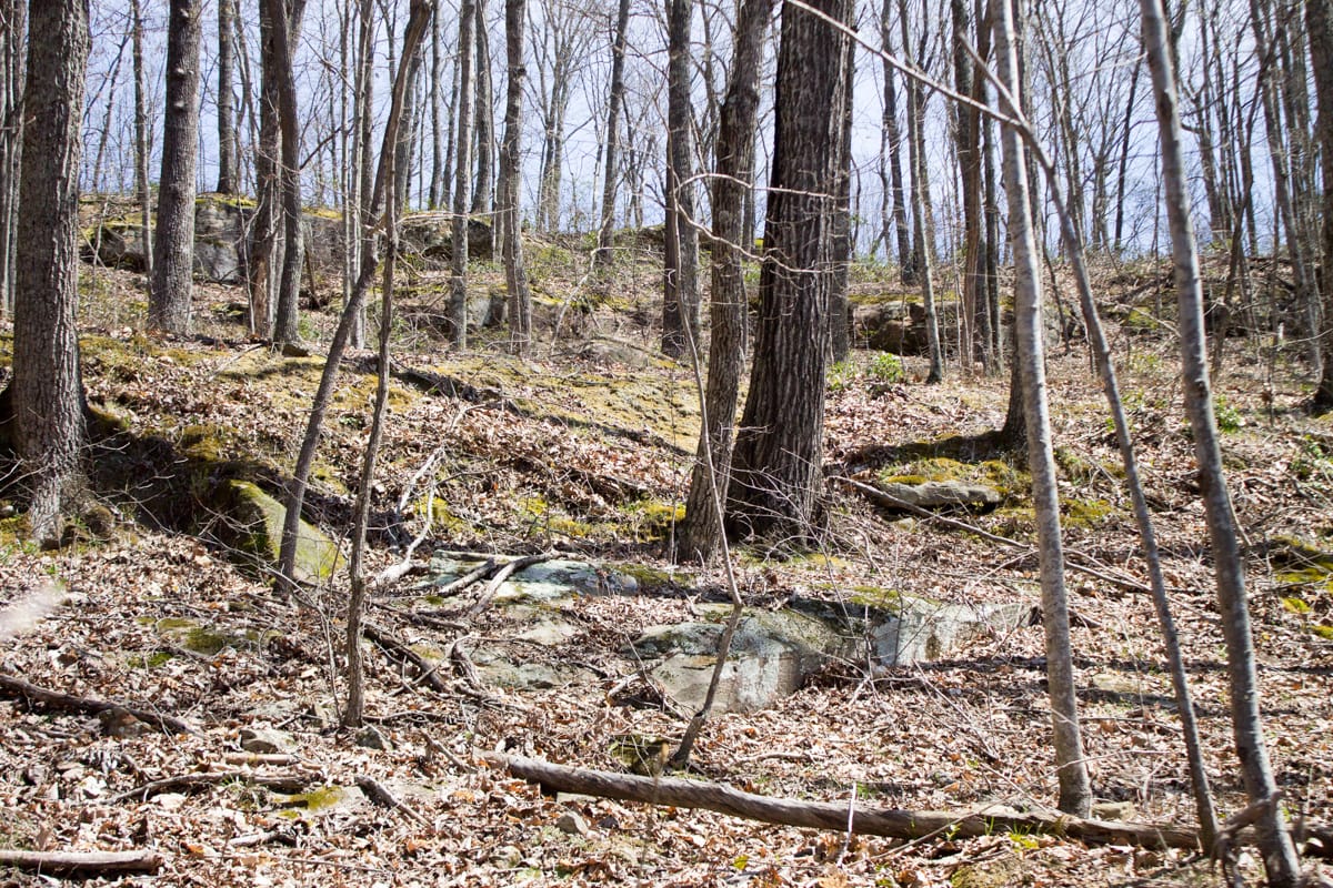 Chestnut Oak Ridge Tract 28 photo 6