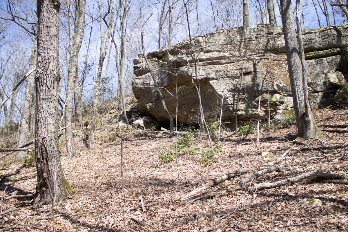 Chestnut Oak Ridge Tract 28 photo 10