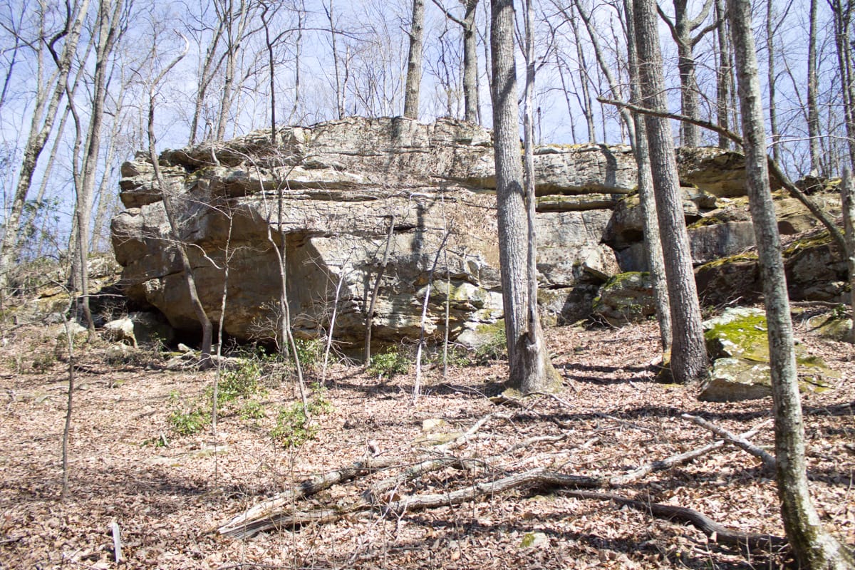 Chestnut Oak Ridge Tract 28 photo 11