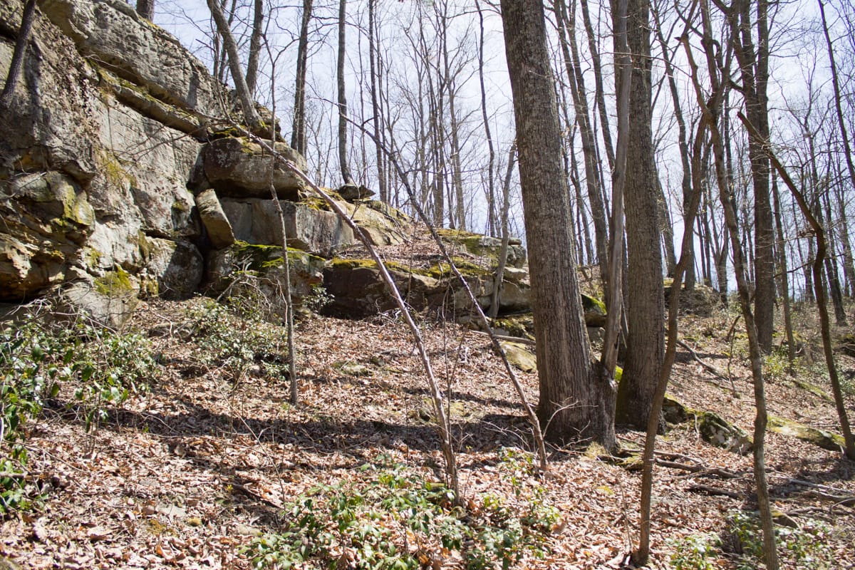 Chestnut Oak Ridge Tract 28 photo 13