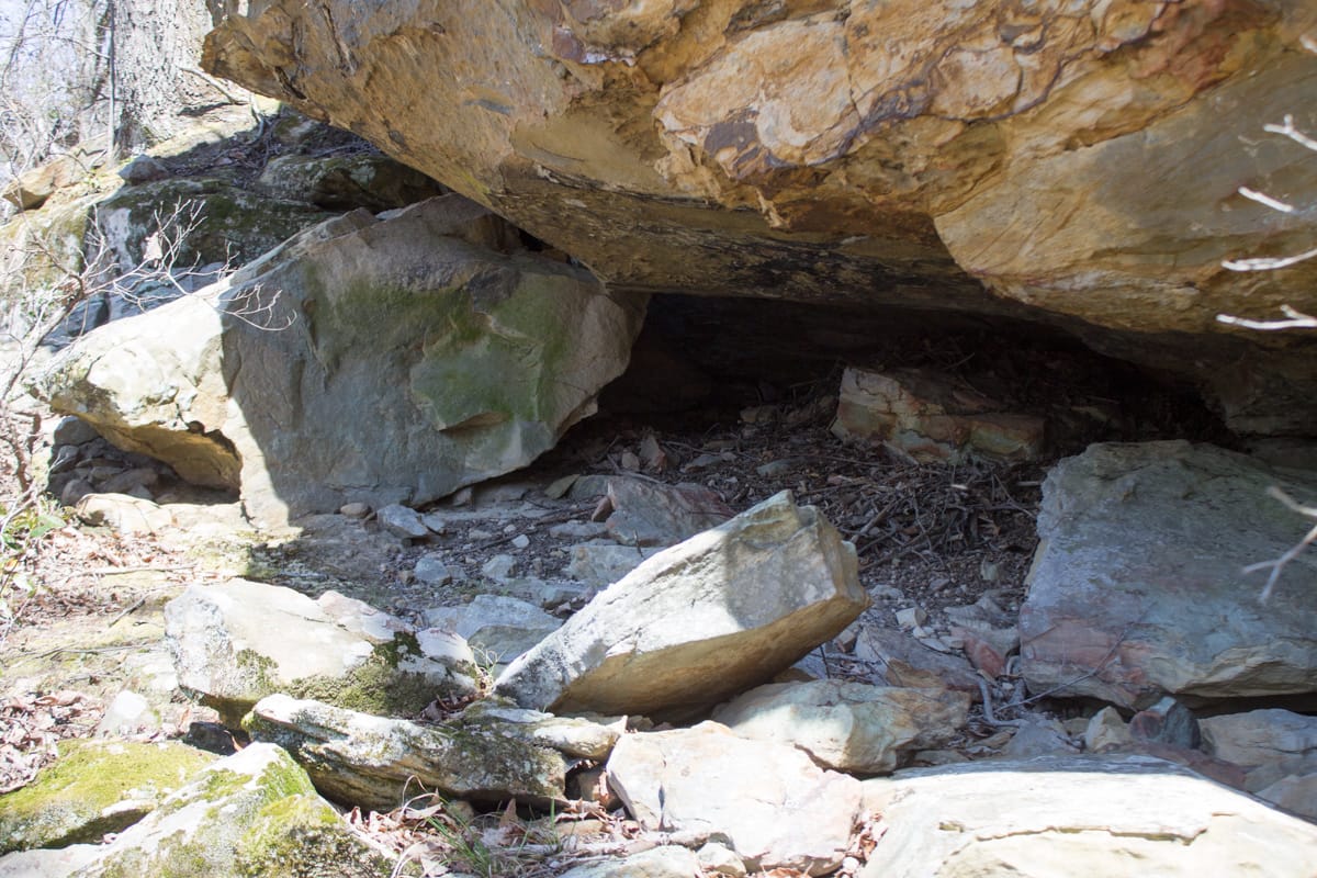 Chestnut Oak Ridge Tract 28 photo 14