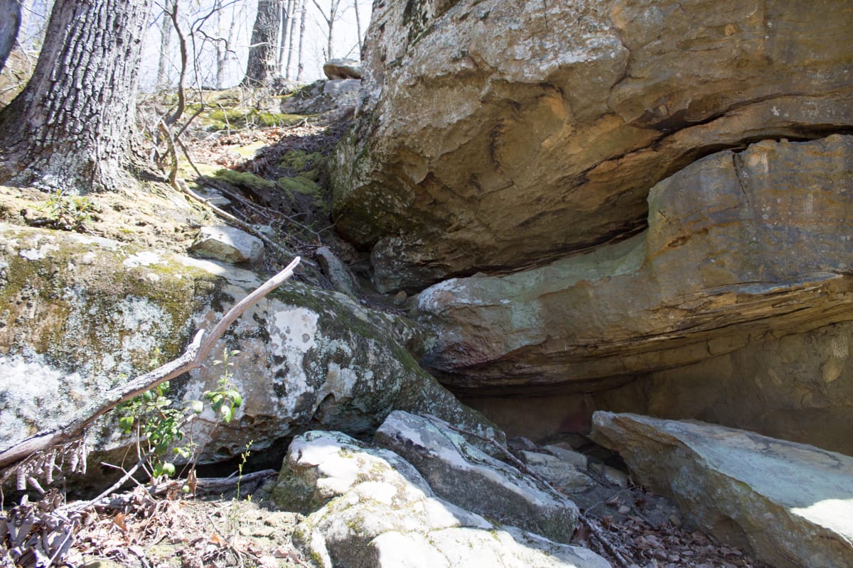 Chestnut Oak Ridge Tract 28 photo 16