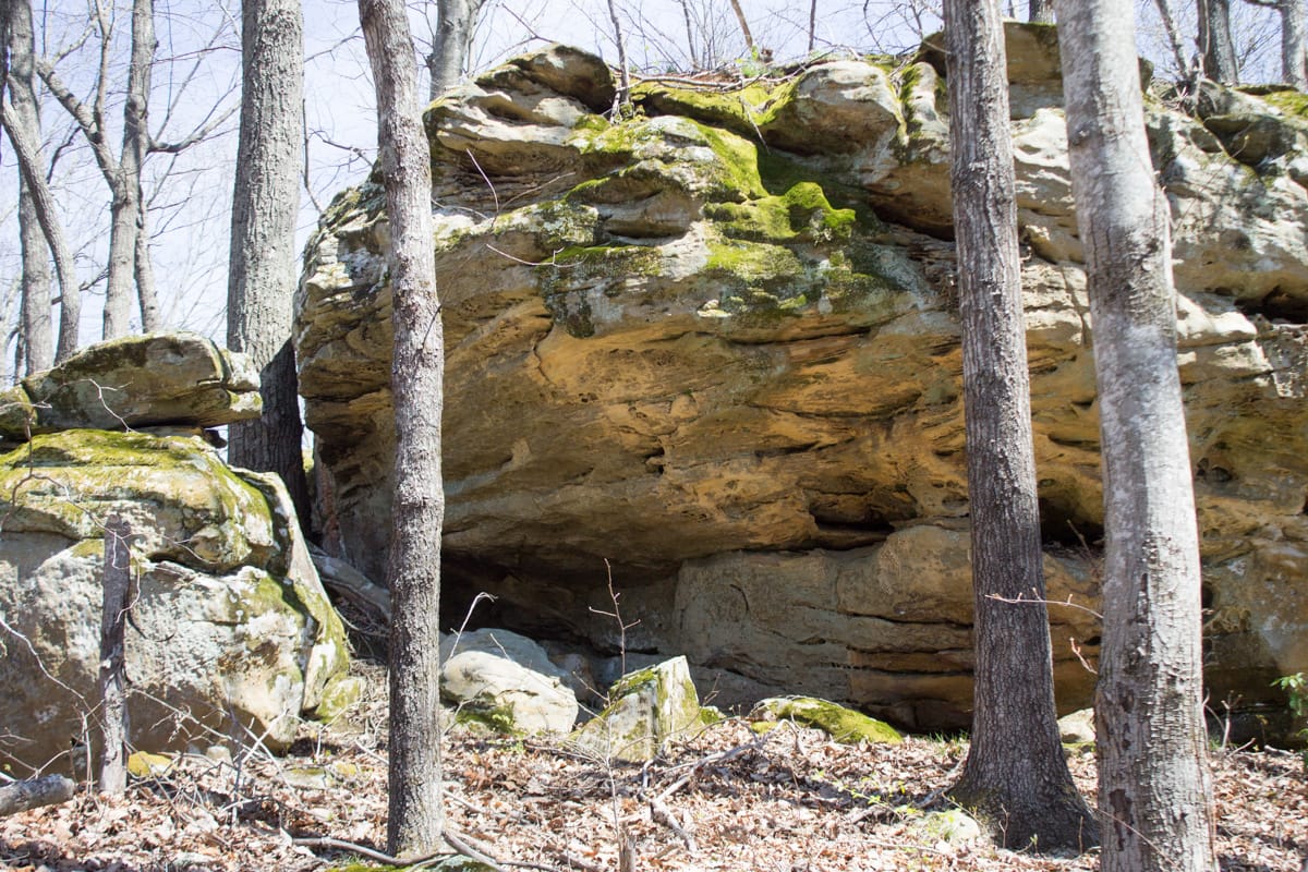 Chestnut Oak Ridge Tract 28 photo 21