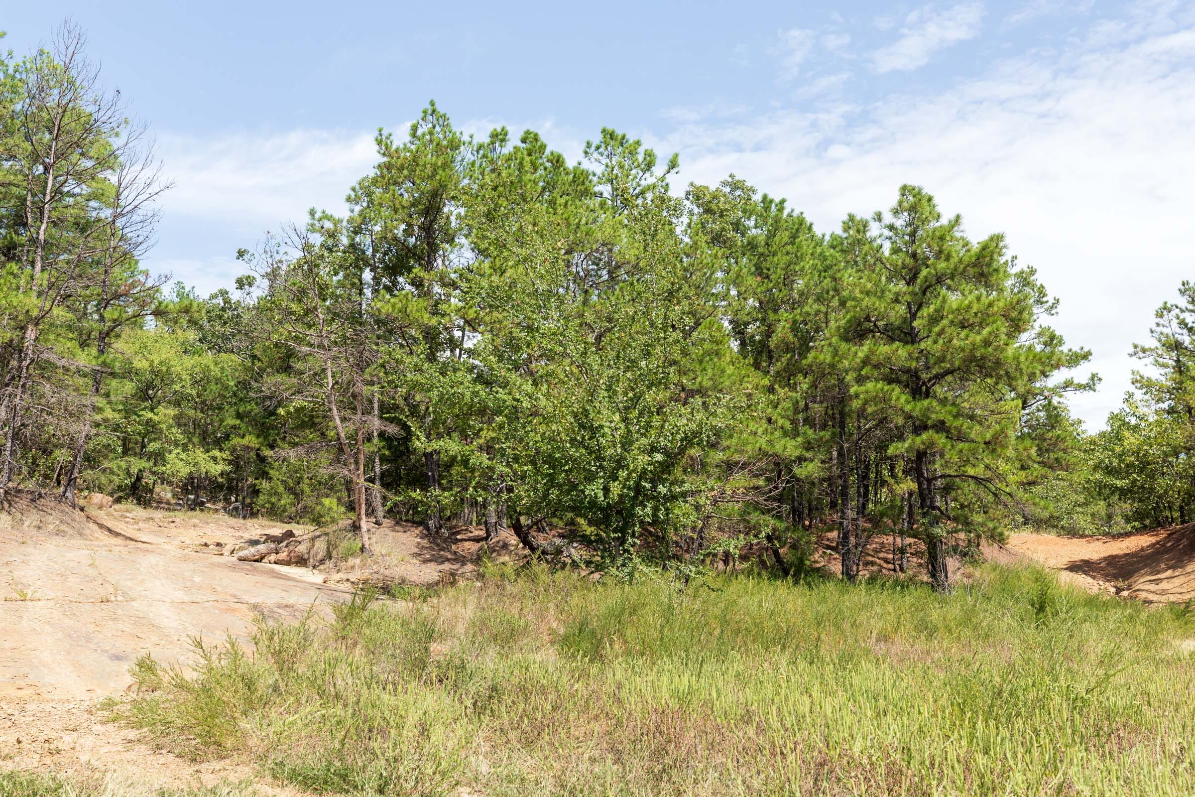 Stone Bridge Phase V Tract 380 photo 5